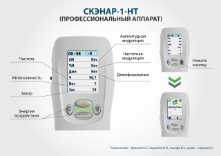 СКЭНАР-1-НТ (исполнение 01)  в Лыткарине купить Медицинская техника - denasosteo.ru 